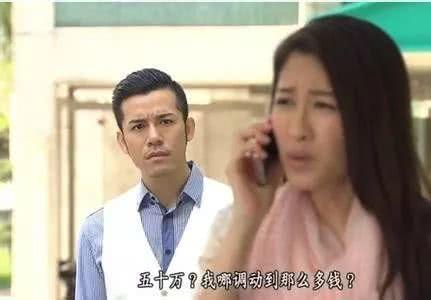 sdu是什么意思，半径是什么意思（TVB经典职业剧盘点第四回）