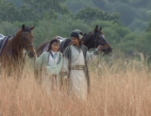 刘涛演阿朱是哪一年的，《天龙八部》的两大阿朱的版本