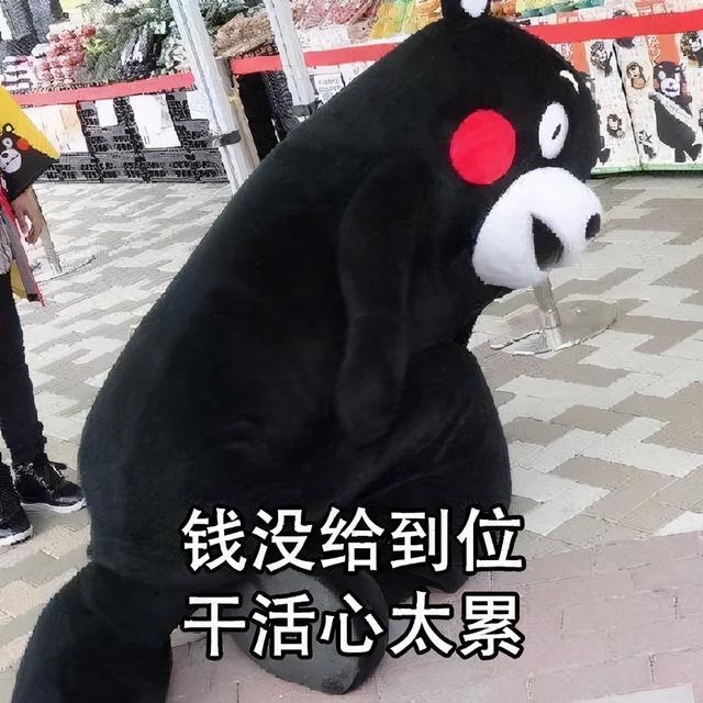 抹茶旦旦表情包，抹茶旦旦表情包图片（沙雕表情包丨我这么好看为什么还要上班）