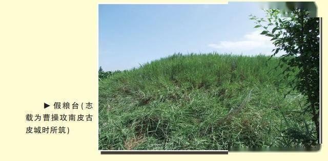 南皮在哪里，南皮在哪里做核酸检测（说说我的家乡—南皮）