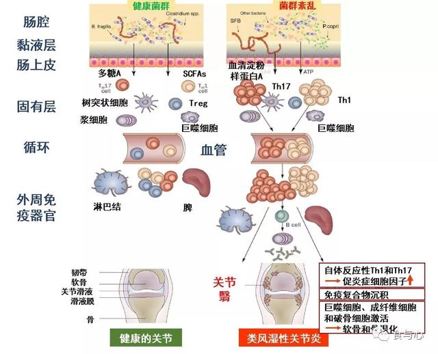 sfb是什么意思，sfnb是什么意思（你必须知道的热知识<二>）