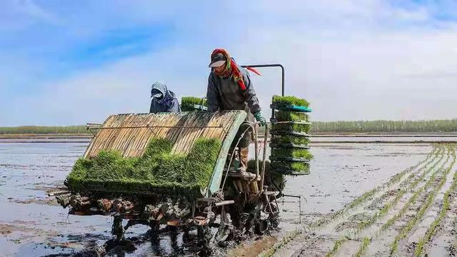 梦见吃菜有什么意思，梦到自己吃菜是什么意思（新中国第一代女拖拉机手）