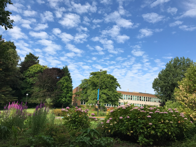 英国萨塞克斯大学，英国萨塞克斯大学留学有哪些优势（萨塞克斯大学是怎样一种存在）