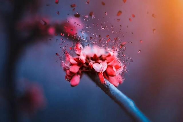 走马观花的走什么意思，走马观花走的意思是什么（48个容易用错的成语）