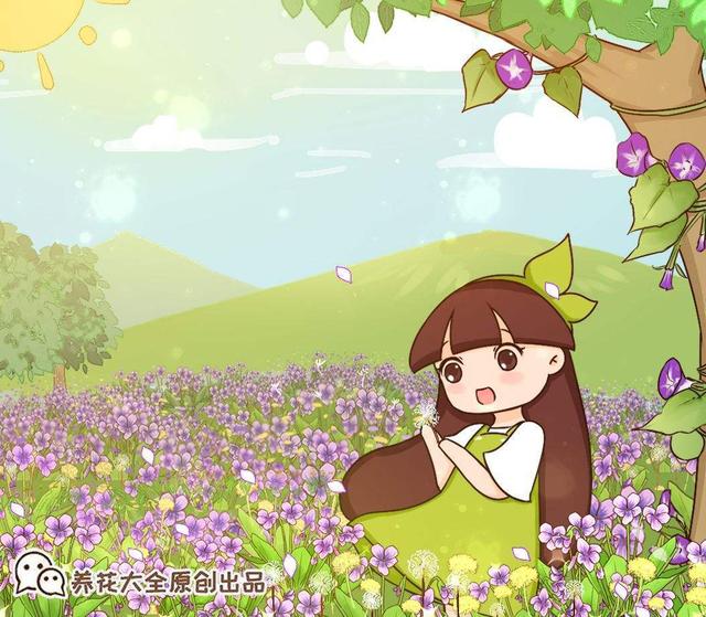 格桑花是什么意思，格桑花是什么意思代表什么（明明那么眼熟的路边花）