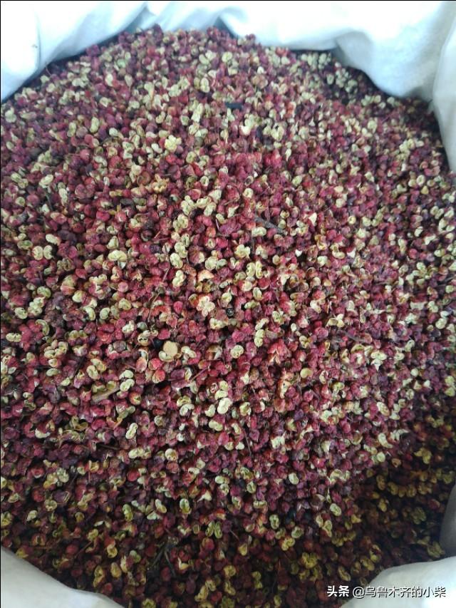 花椒的产地在哪里，花椒盛产于哪里（花椒的品种和产地）