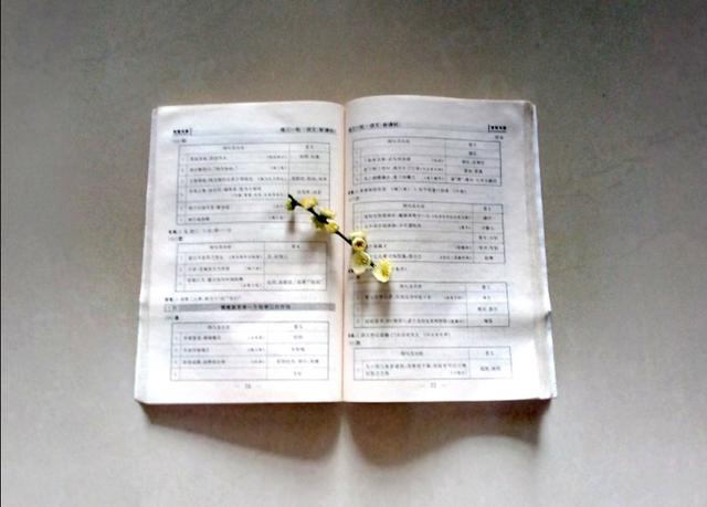 描写春花的诗句，描写春花的诗句有哪些（春风春花春雨春草春阳春树）