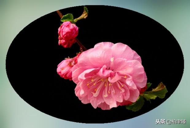 在乎与不在乎的区别，在乎与不在乎<说的太好了>