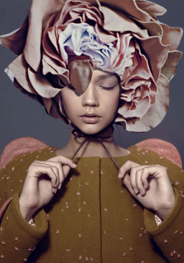 玫瑰花唯美ins风景清新意境美图，ins玫瑰图片复古风（摄影中的花之美）