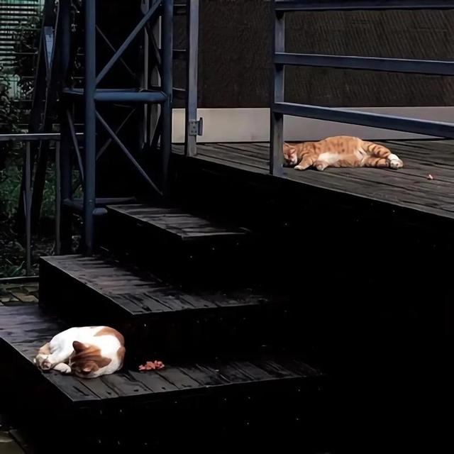 黑色系壁纸.，黑色系壁纸女生（愿你常开心常欣喜图片）