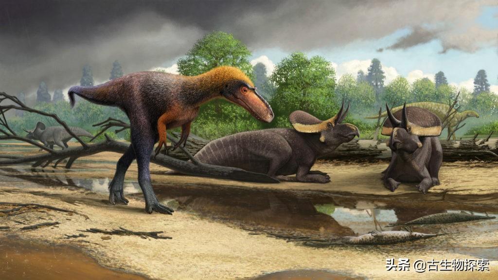 美国惊现活体恐龙？古生物学家发现原始暴龙化石，引发史前生物存世热议。