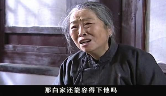 赵吉安什么电视剧，与杨志刚母子情深