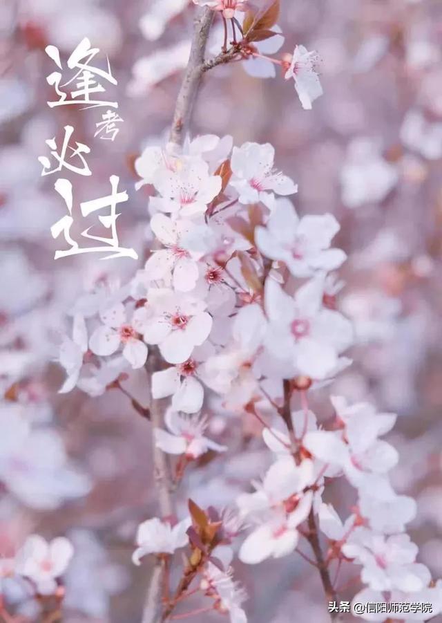 半角空格和全角空格区别，半角空格怎么打（这这这，事关考试，你都不看）