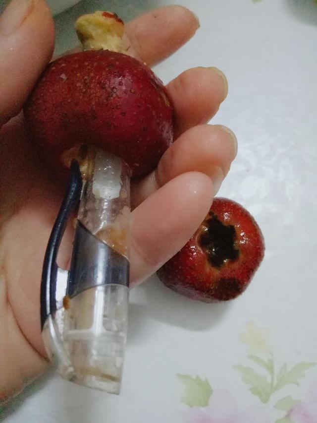 山楂罐头怎么做，家庭自制山楂罐头的做法窍门（学会再也不用花钱买了）