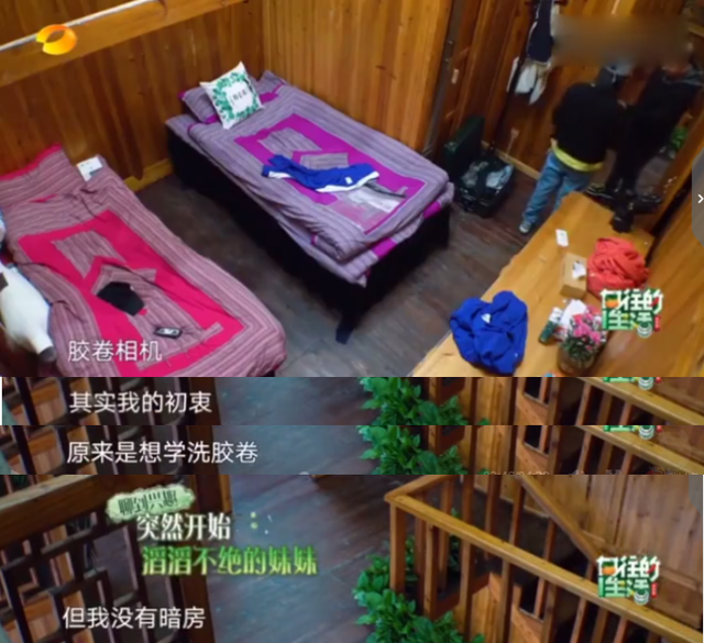 向往的生活开局推到张子枫，张子枫是谁推荐到向往的生活（《向往的生活4》张子枫被疑社恐）