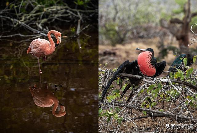 厄瓜多尔在哪里，厄尔多瓜具体在哪里（走进厄瓜多尔——世界上唯一以“赤道”命名的国家）