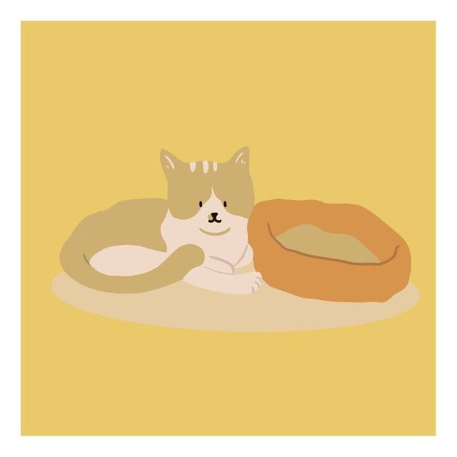 美好阳光且干净的女生头像  星空迷上了山野微信，美好阳光且干净的女生头像  星空迷上了山野，有雾有灯也有归人。（有哪些好看非人物的头像）