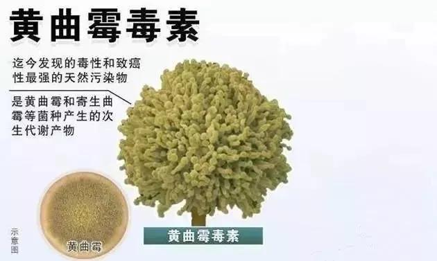 砧板发霉怎么处理，砧板老发霉怎么办（“砧板”变黑又发霉）