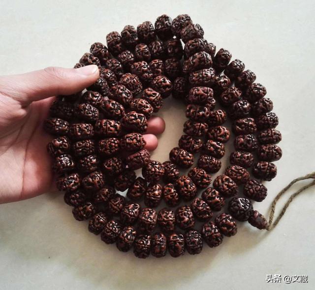 金刚菩提是什么，金刚菩提是什么树的果实（金刚菩提，寓意非凡的佛门圣物）