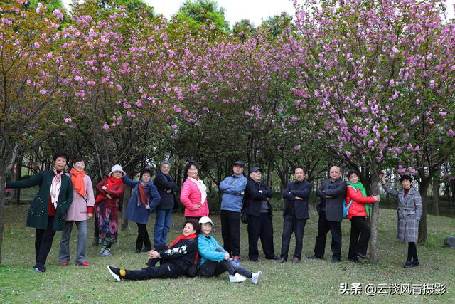 最简单能令人放松心情的图片 偶尔防空一下自己，让人心情放松的图片（醉倒在那片春色里）