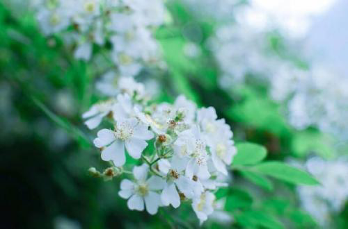 积极向上的作文，积极向上充满正能量的小学生作文（积极向上励志文章精选3篇）