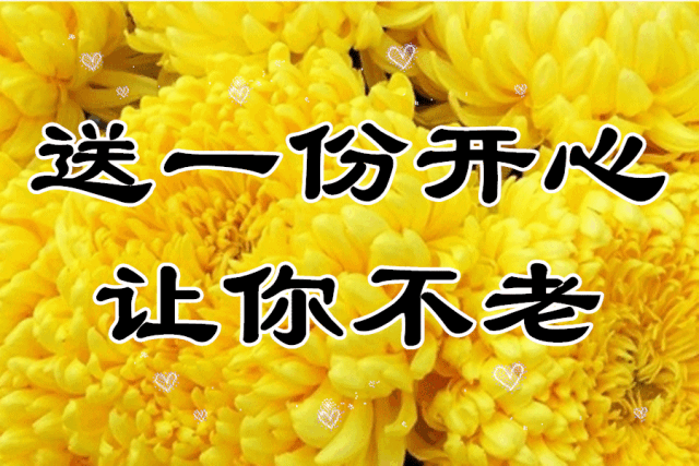幸福永安康下面一句是什么，毕业祝福语一句话（一曲《愿你快乐每一天》送给你）