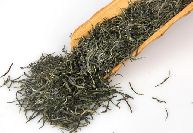 毛尖是什么茶，冻顶乌龙茶是什么茶（茶知识百科：信阳毛尖）