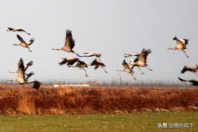 盐城是哪个省的城市，江苏盐城市