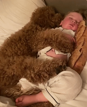 泰迪熊抱抱熊，一出生就有三个巨型“泰迪熊”陪睡（泰迪熊抱抱熊适合结婚送么）