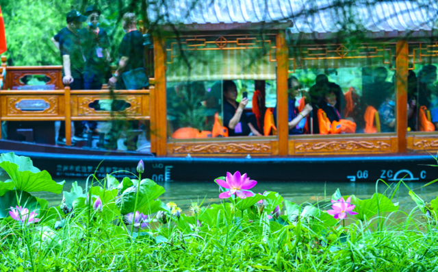 高邮湖有什么好吃的，高邮有什么好吃的饭店（探寻汪味：传统美食）
