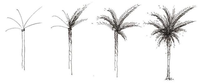 超简单风景速写入门初学者，适合初学者学习的速写中植物配景的画法图解教程