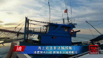 鲎是保护动物吗，鲎是保护动物吗为啥（休渔期非法捕捞国家保护动物中华鲎）