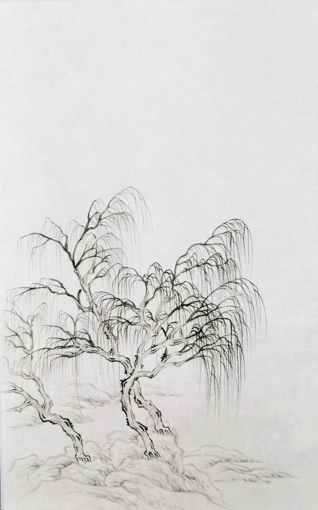 画柳树的画法，山水画中柳树的画法