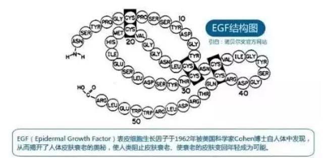 冻干粉用在护肤的哪个步骤，冻干粉免洗面膜效果怎么样（冻干粉是什么，有什么作用）
