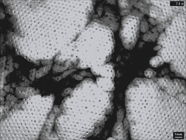 化学反应有哪些，五大类化学反应（超酷炫的44个化学反应动图）