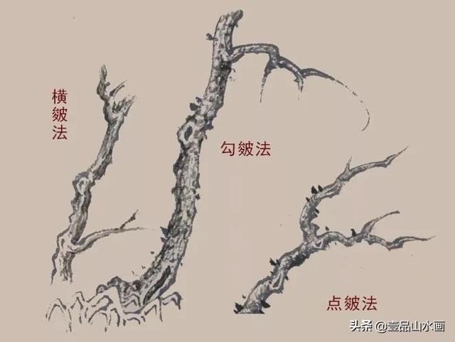 松柏树，画柏树，就这么简单（松柏树图片叶子图片）