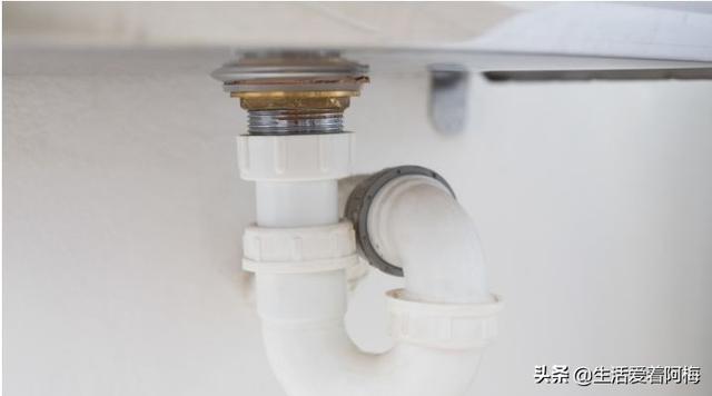 霸王芋，卫生间潮湿、发霉、不通风（霸王芋的养殖方法和注意事项）