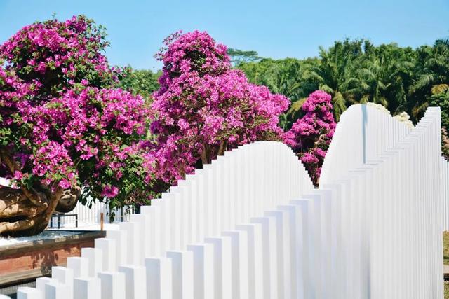 深圳坪山有什么寺庙，深圳坪山哪里有寺庙（我找了深圳10座山和你爬）