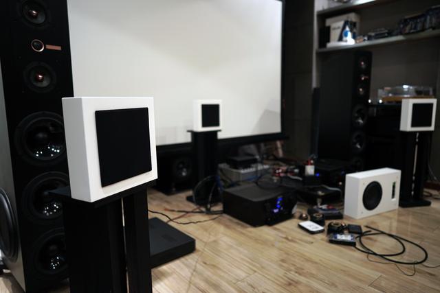 dls是什么意思，Flatmini