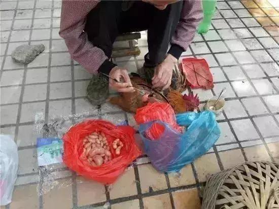 鸡子是什么，这个高薪行业即将消失（鸡子是什么器官）