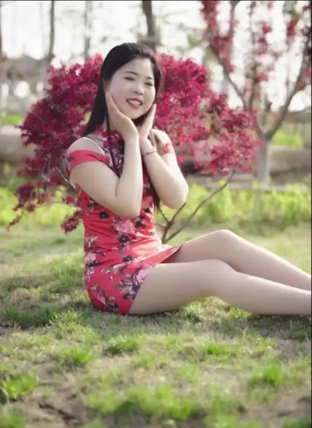 千纸鹤的含义，千纸鹤的含义是什么意思（张张惹遐思）