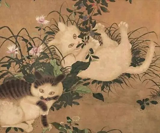 猫肉能吃吗，猫肉能吃吗,有什么禁忌（李时珍说猫肉不佳）