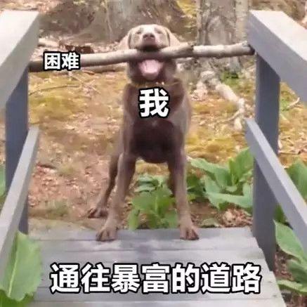 “富婆快乐球”是什么梗，“富婆快乐球”（今天已经见到王阿姨了）