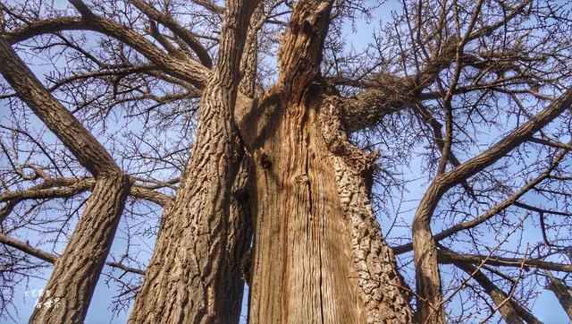 普陀山求什么最灵验，普陀山三年讲究（北京香火最旺的皇家寺庙）