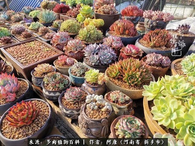 2021九·一八事变是多少周年，2021年是九一八事变的几周年（献给2021最好的春天）