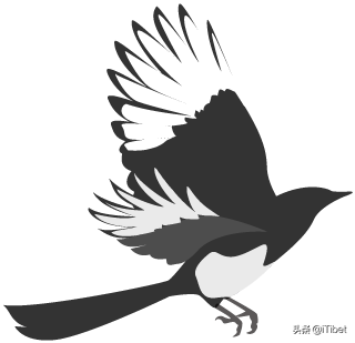 jod什么意思，work 和jod的区别（藏北的神谕与历史<上>）