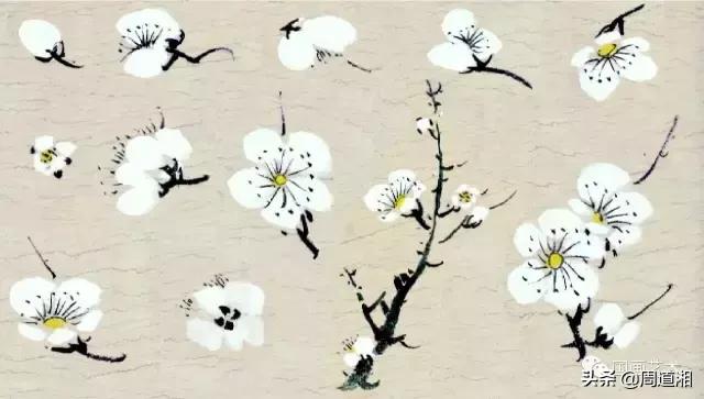 梅花13怎么手绘画，教梅花13怎么画（国画入门教程——梅花的画法）