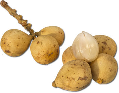 guava是什么水果,guava是什么水果怎么读(泰国最好吃的19种水果)