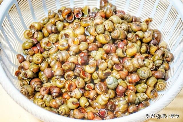 清明节都会吃什么 清明节的习俗有哪些，清明节都会吃什么（记得5个“饮食习俗”）