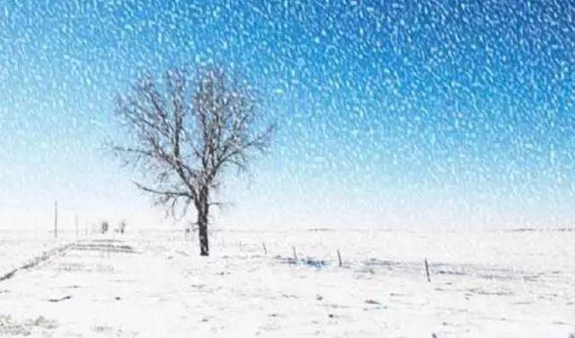 雪的组词有哪些，雪组词（雪的24种别称，简直美醉了）
